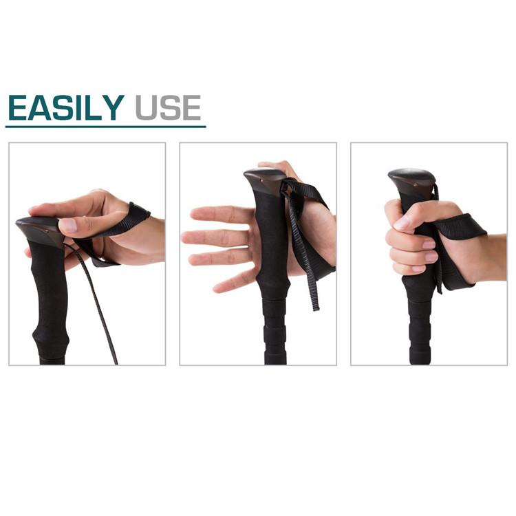 Trekking Pole (6).jpg