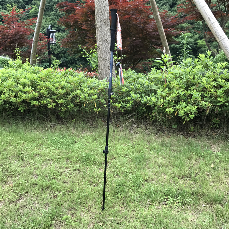Walking Sticks (10).jpg