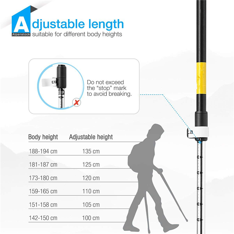 Trekking Pole (1).jpg