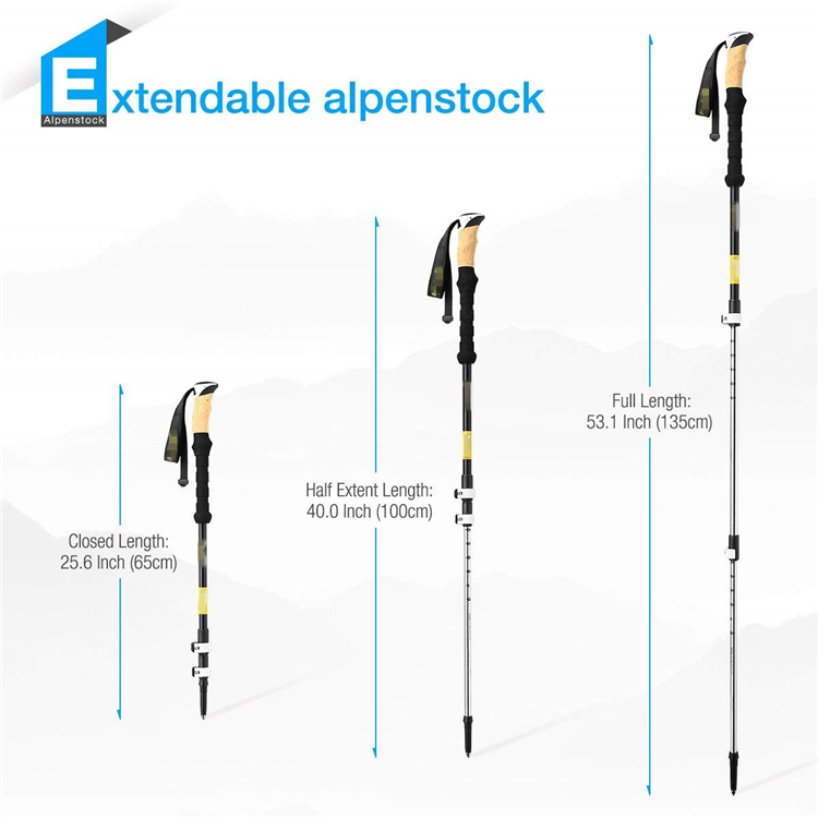 Trekking Pole (3).jpg