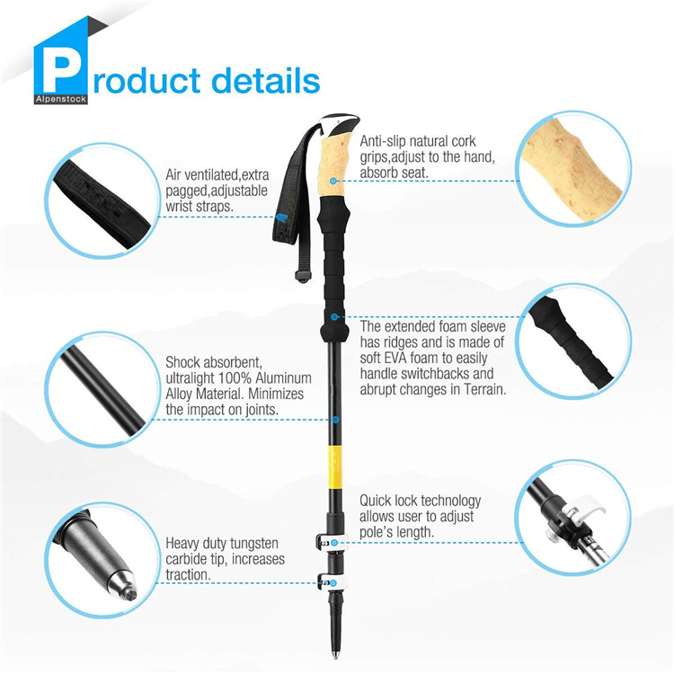 Trekking Pole (5).jpg