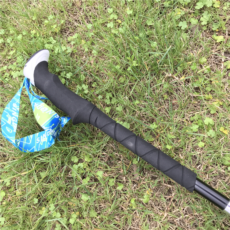Collapsible Folding Walking Sticks (3).jpg