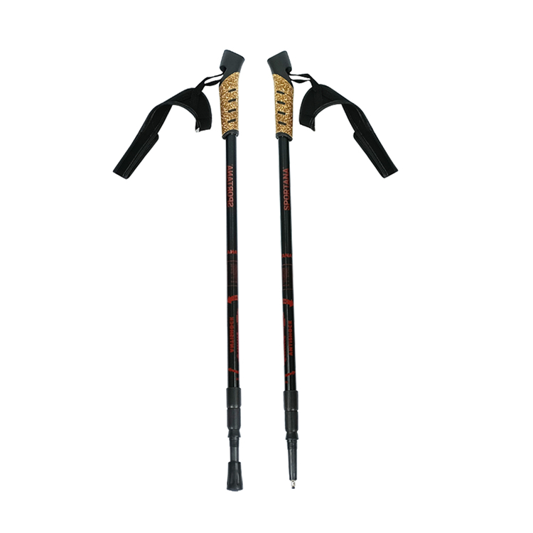 Trekking Pole (4).jpg