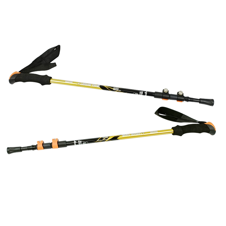 Trekking Pole (3).jpg