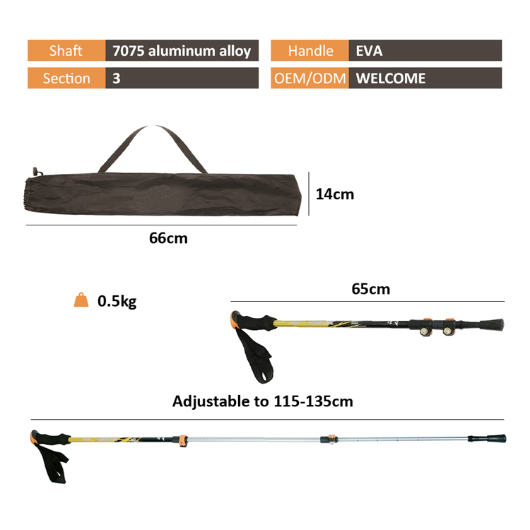 Trekking Pole (9).jpg