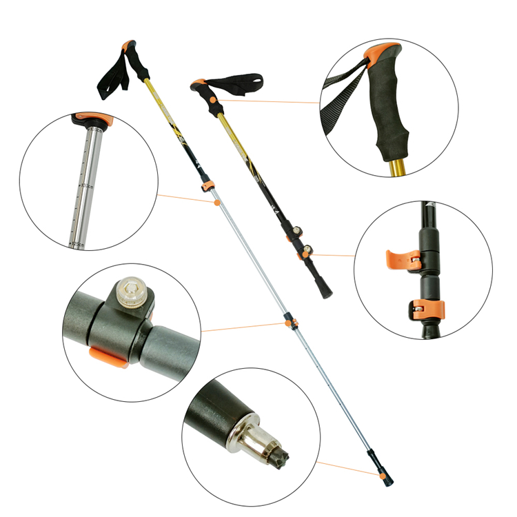 Trekking Pole (10).jpg