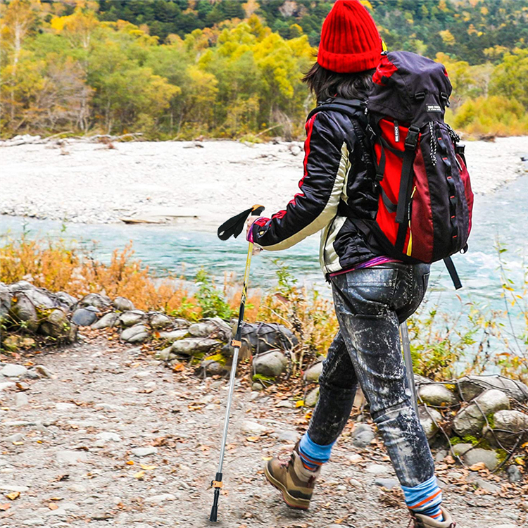 Trekking Pole (11).jpg