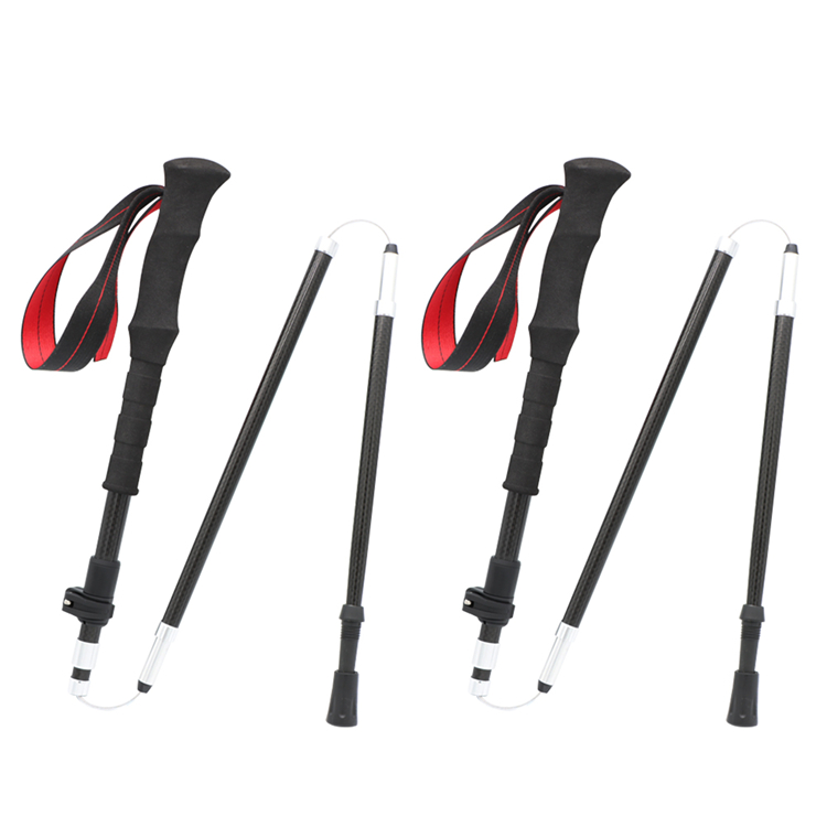 Trekking Pole (3).jpg