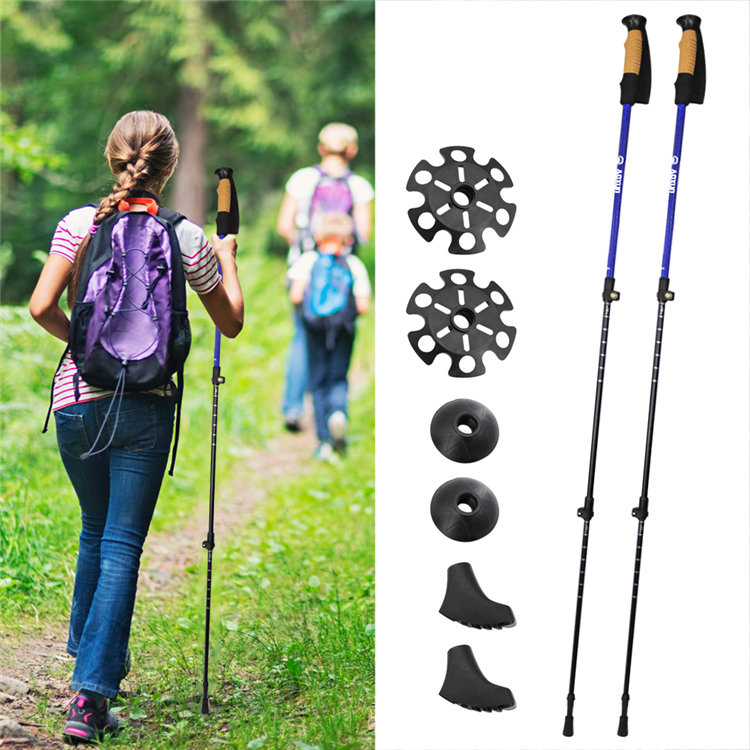 Trekking Pole (11).jpg